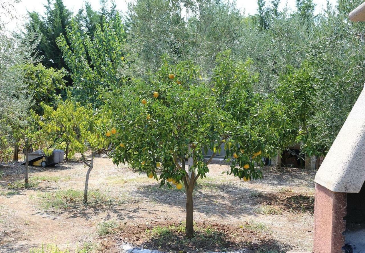 Villa La Piana Peschici Dış mekan fotoğraf